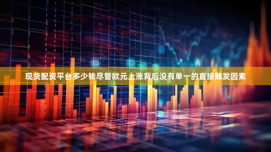 现货配资平台多少钱尽管欧元上涨背后没有单一的直接触发因素