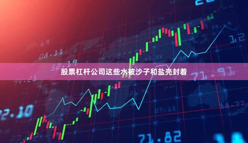 股票杠杆公司这些水被沙子和盐壳封着